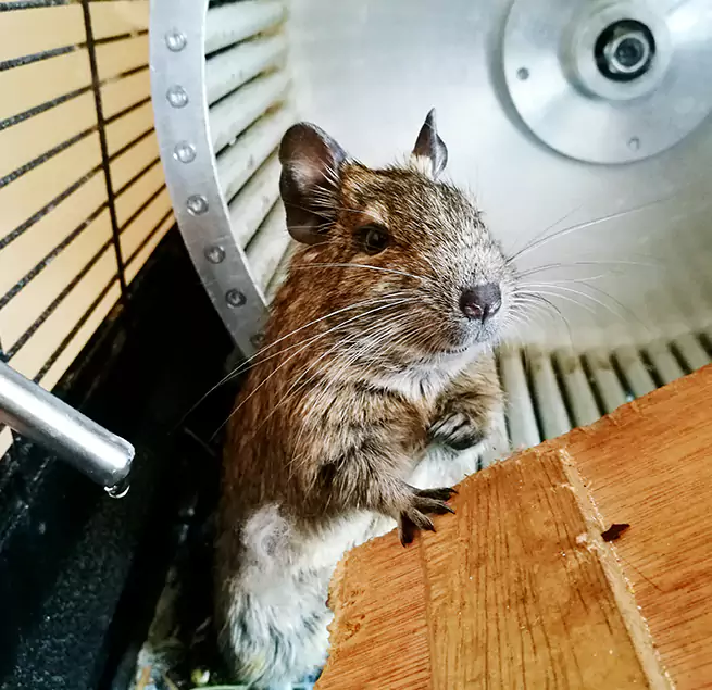 Why Homeowners & Businesses Trust Us Westchase, FL