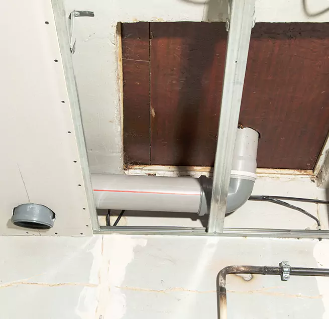 Why Homeowners & Businesses Trust Us in Westchase, FL?