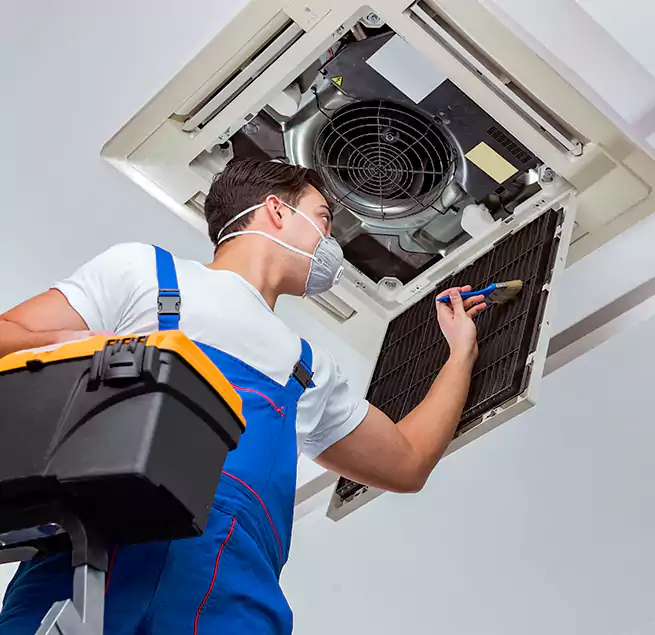 Why Homeowners & Businesses Trust Us in Westchase, FL