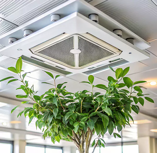 Why Homeowners & Businesses Trust Us in Westchase, FL?