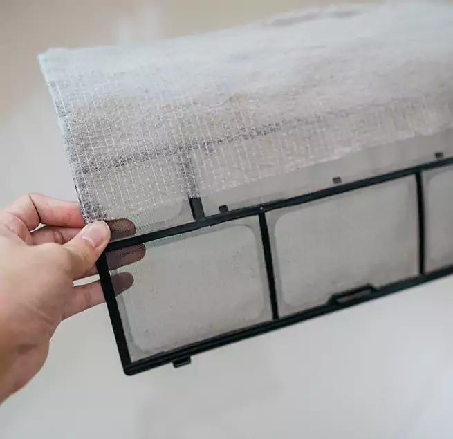 Why Homeowners & Businesses Trust Us in Westchase, FL?