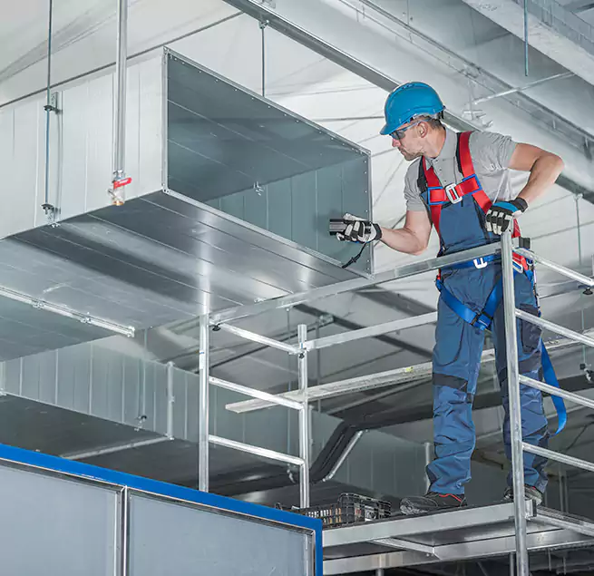 Why Homeowners Businesses Trust Us in Westchase, FL