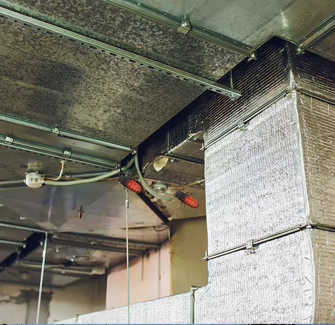 Why Homeowners & Businesses Trust Us Westchase, FL?