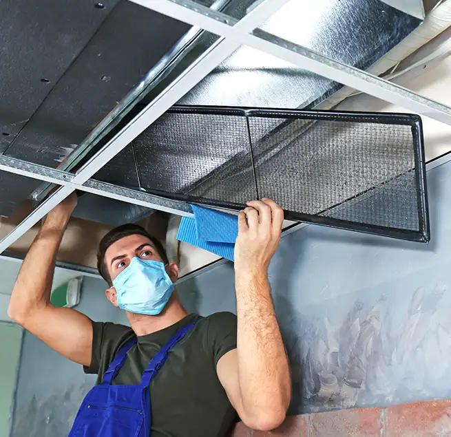 Why Homeowners & Businesses Trust Us in Westchase, FL?