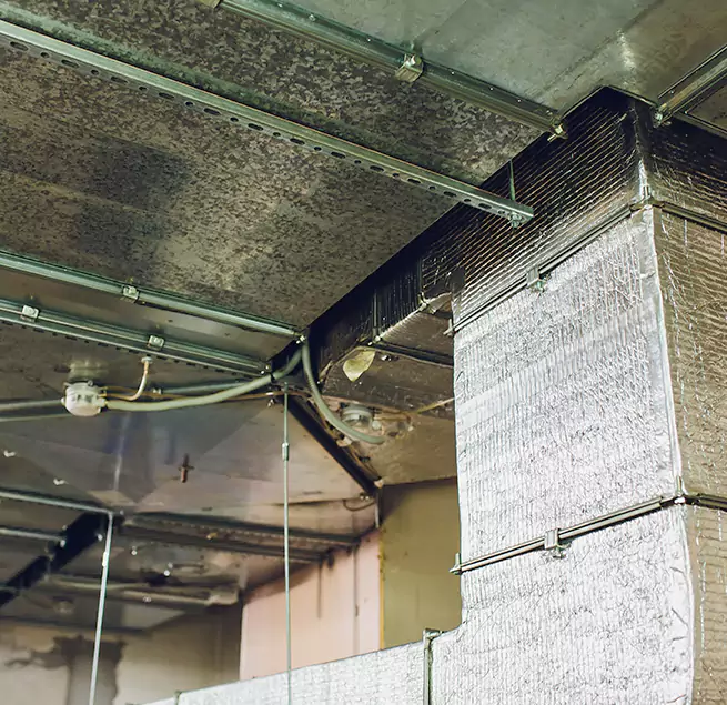 Why Homeowners & Businesses Trust Us in Westchase, FL?