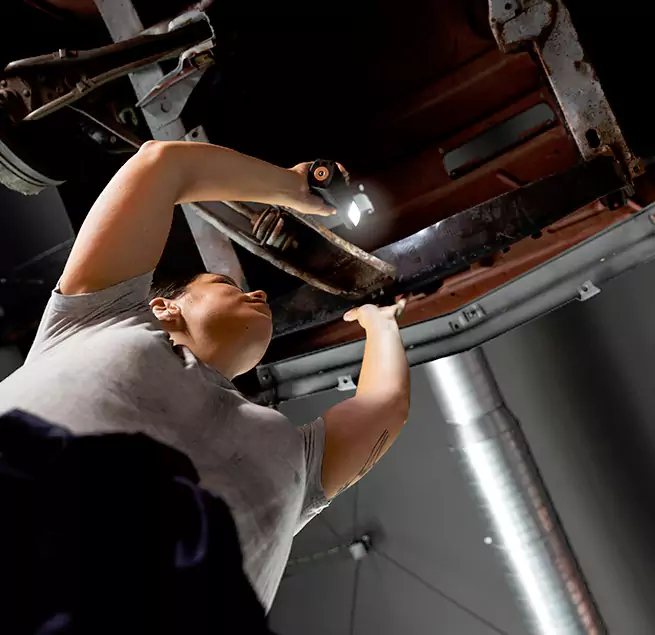 Why Homeowners & Businesses Trust Us Westchase, FL