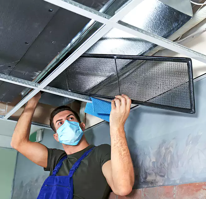 Why Homeowners Businesses Trust Us in Westchase, FL