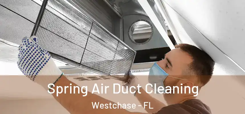 Spring Air Duct Cleaning Westchase - FL