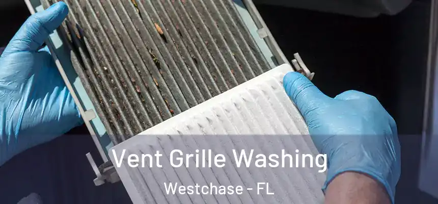  Vent Grille Washing Westchase - FL