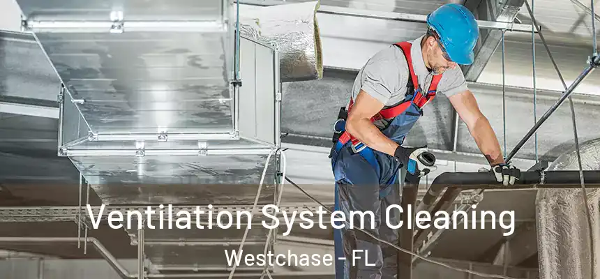 Ventilation System Cleaning Westchase - FL