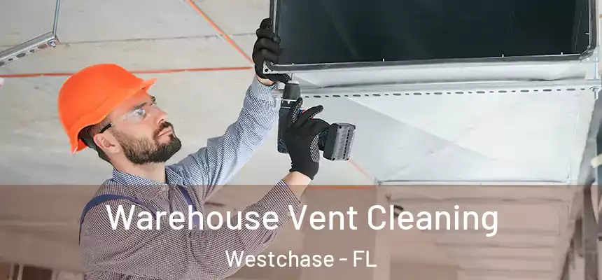 Warehouse Vent Cleaning Westchase - FL