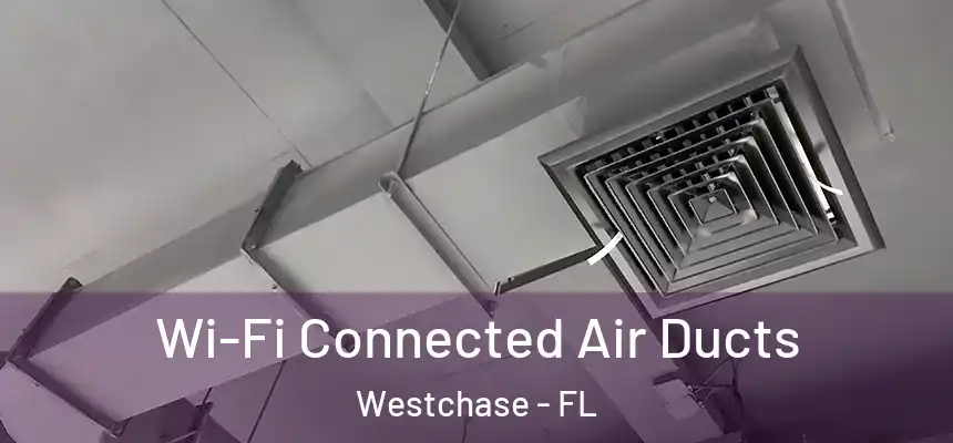 Wi-Fi Connected Air Ducts Westchase - FL